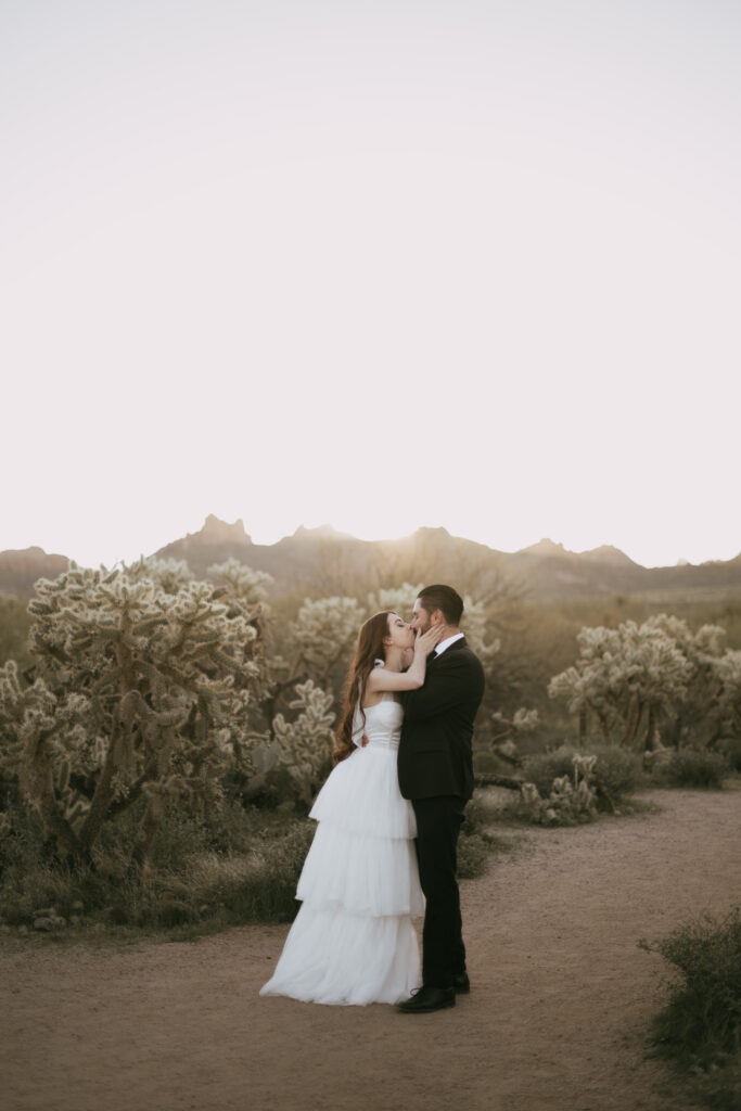 Bride and groom in the Arizona desert wearing a wedding dress and black suite.