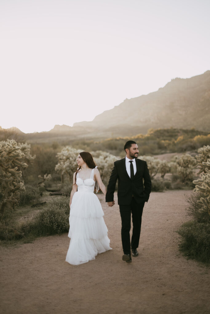 Bride and groom in the Arizona desert wearing a wedding dress and black suite.