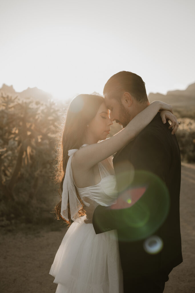 Bride and groom in the Arizona desert wearing a wedding dress and black suite with sun flairs 