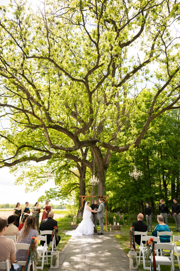 Backyard wedding inspo under big trees in the Spring time.