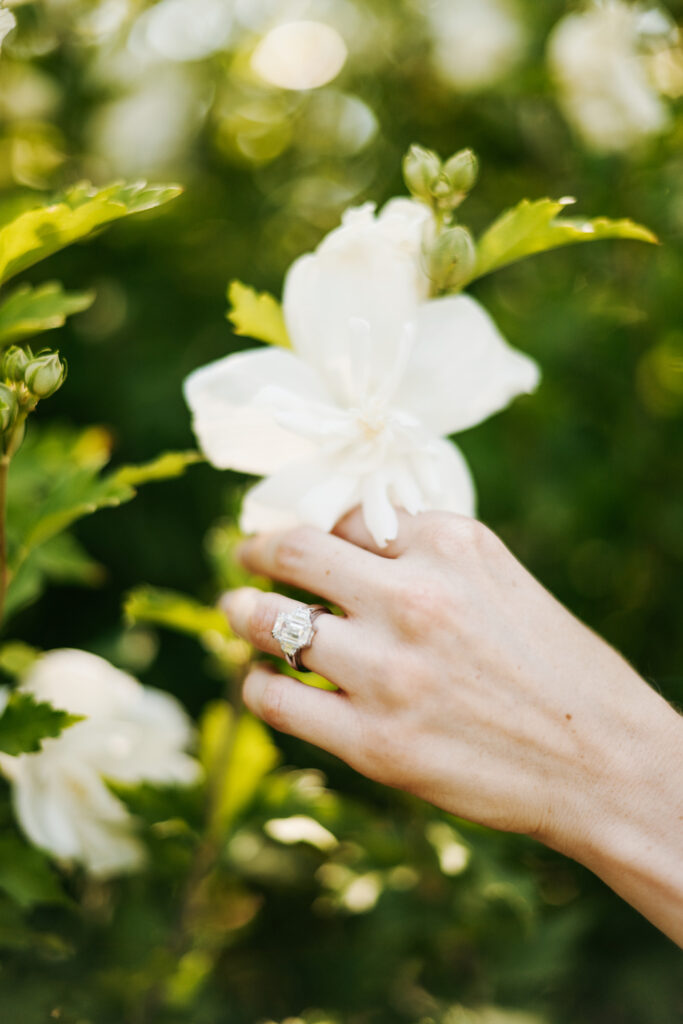 Surprise proposal at Red Butte Garden ring photos on white roses.