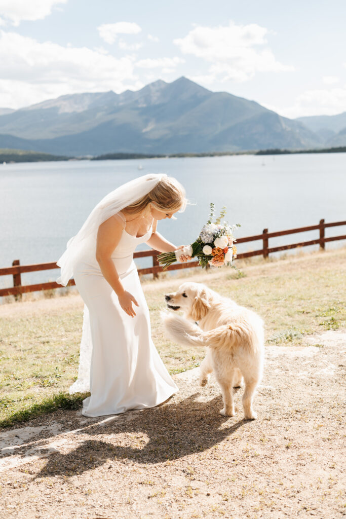 Bride with dog at wedding