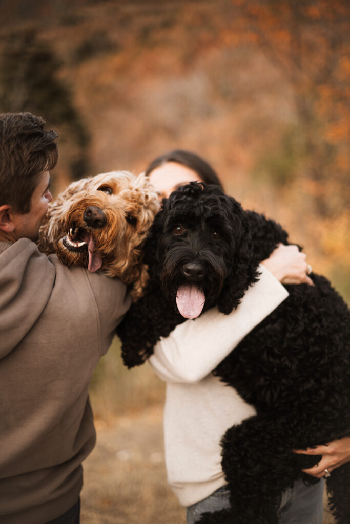 Fall Couples Session with 2 dogs