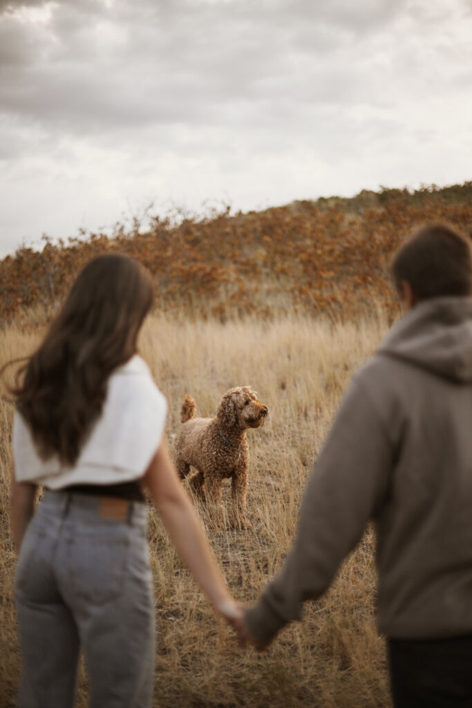 Fall Couples Session with dogs