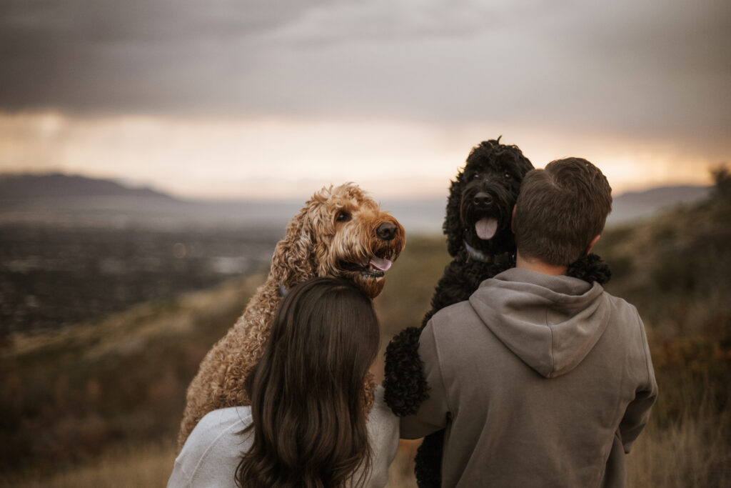 Fall Couples Session with 2 dogs