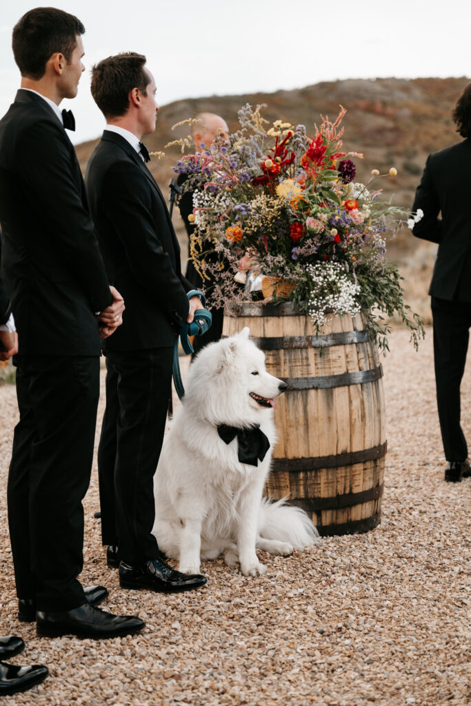 High West Distillery Wedding with dog