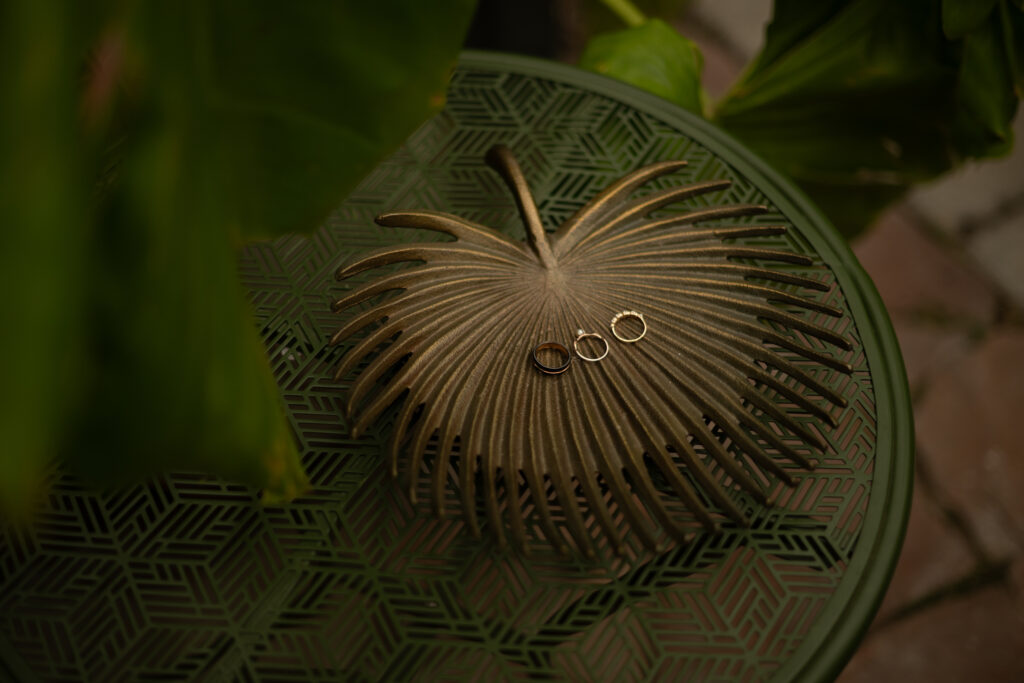 How to get married at Cactus and Tropicals