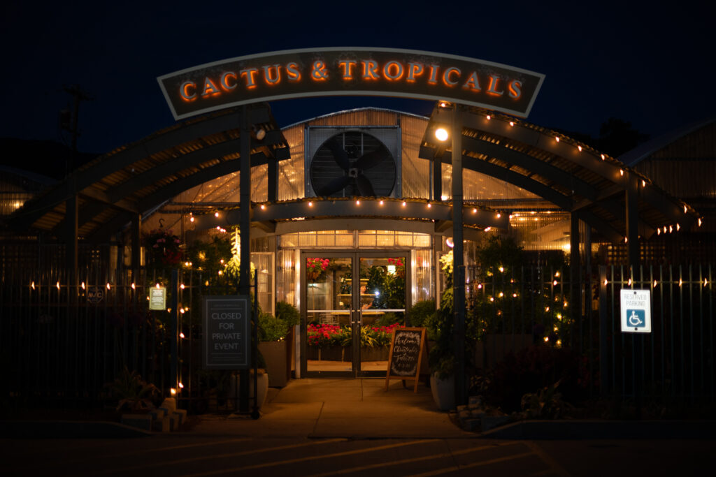 Getting Married at Cactus and Tropicals