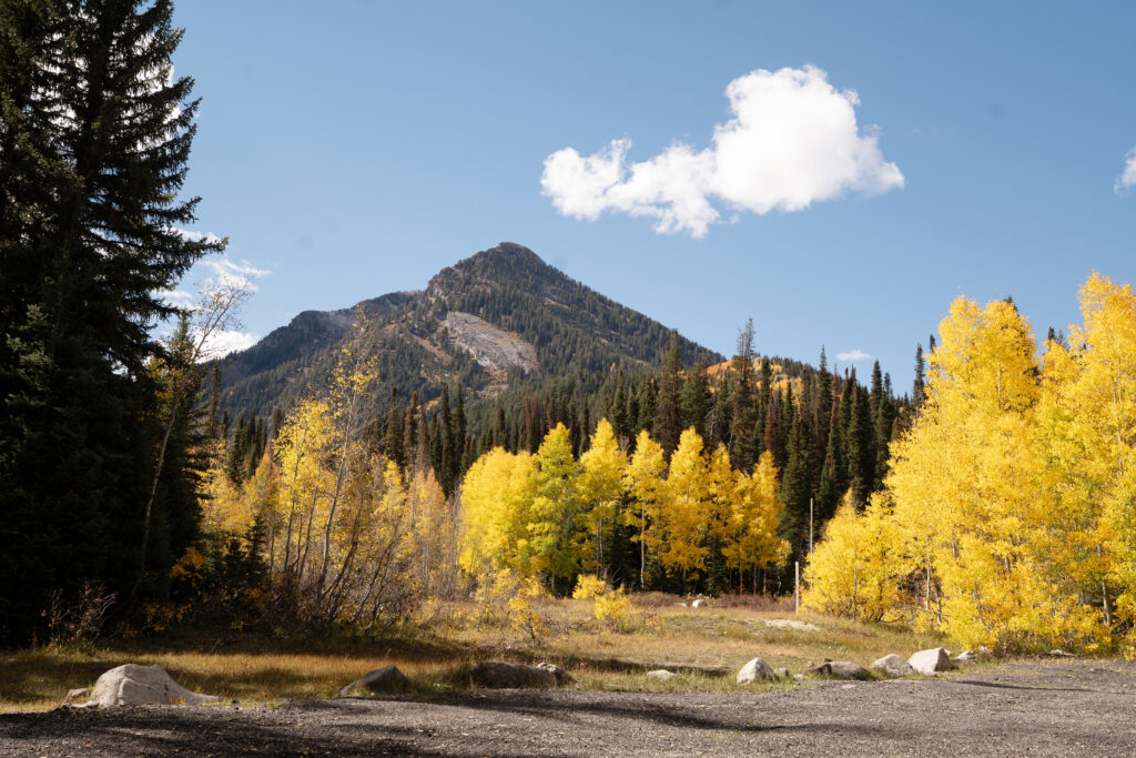 Jordan Pines Campground Wedding in the Fall