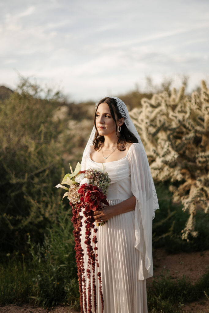 Best Places to Elope in Arizona with cactus and a view of the Superstition mountains.