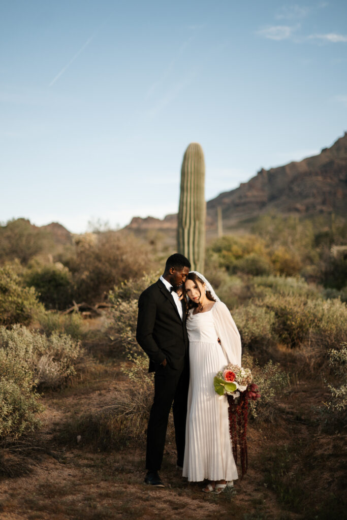 Best Places to Elope in Arizona with cactus and a view of the Superstition mountains.