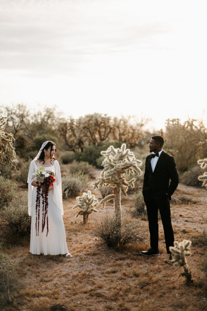 Best Places to Elope in Arizona with cactus and a view of the Superstition mountains.