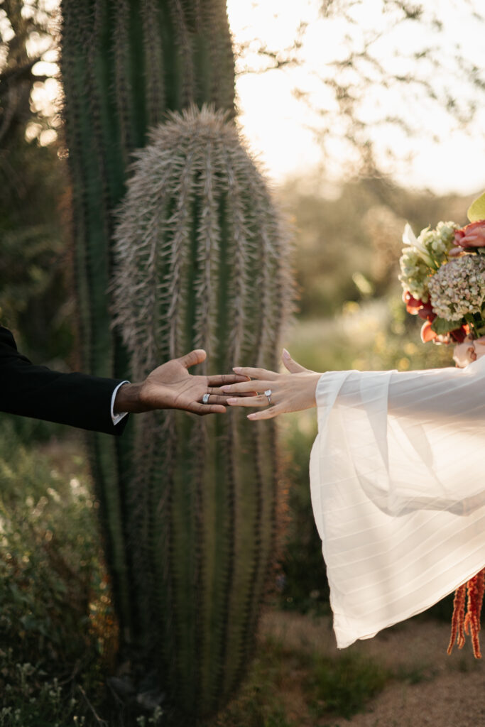 Best Places to Elope in Arizona with cactus and a view of the Superstition mountains.