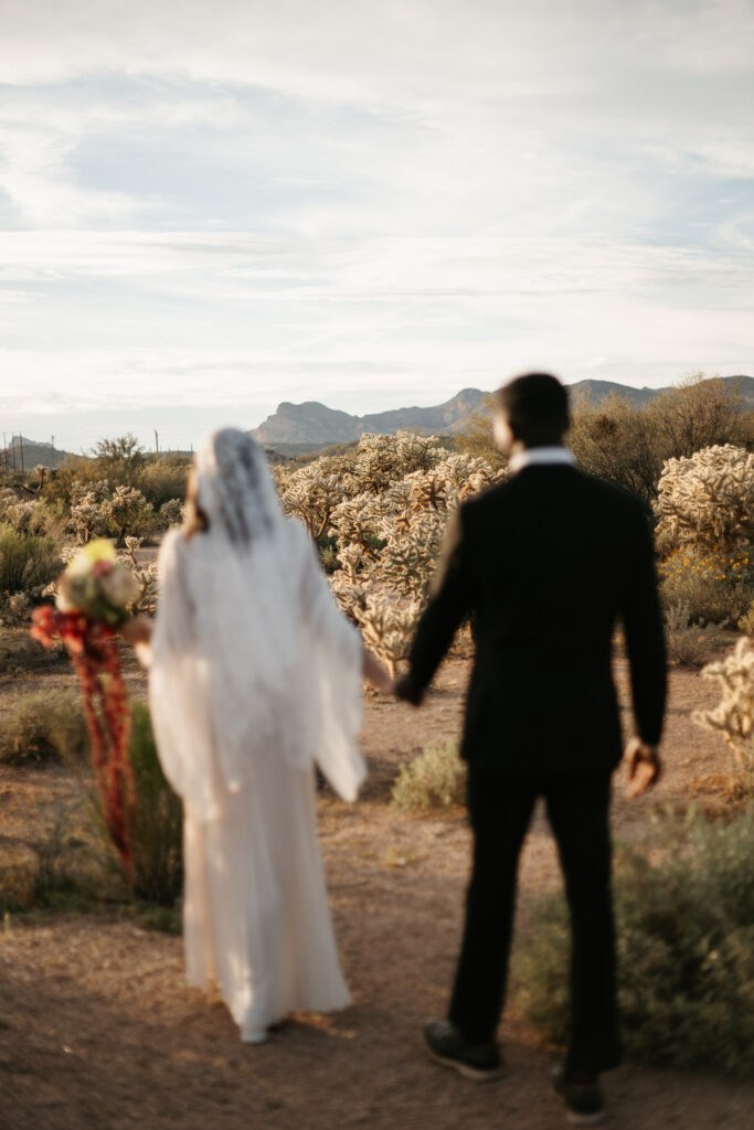 Best Places to Elope in Arizona with cactus and a view of the Superstition mountains.