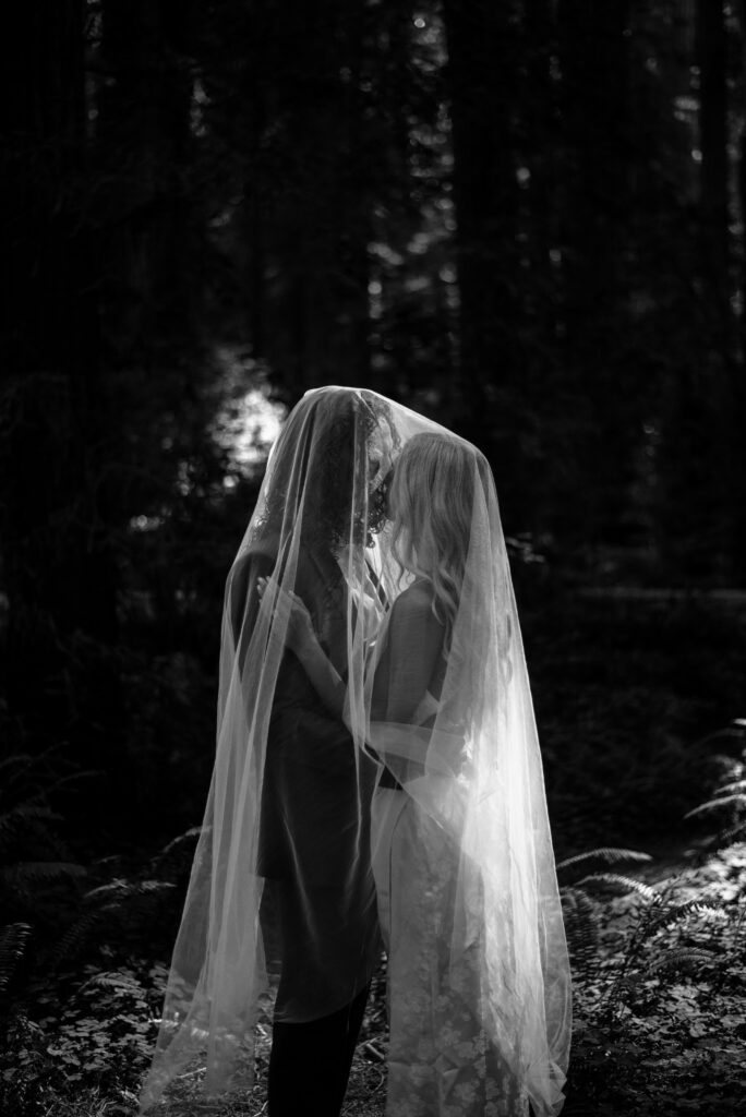 Bride and Groom under viel in the redwoods