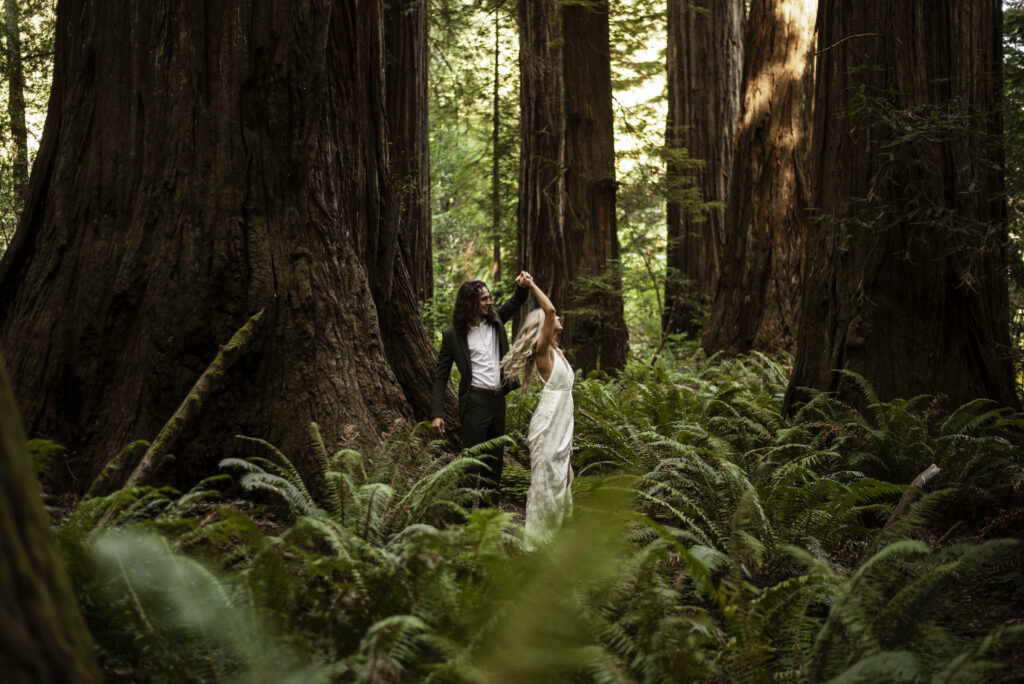 Redwoods wedding photography | Brookings Wedding Photographer | Oregon Coast elopement