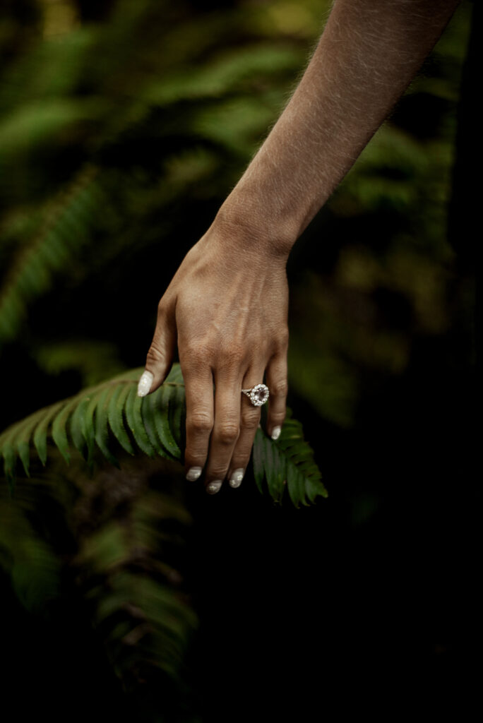 Redwoods wedding photography | Brookings Wedding Photographer | Oregon Coast elopement