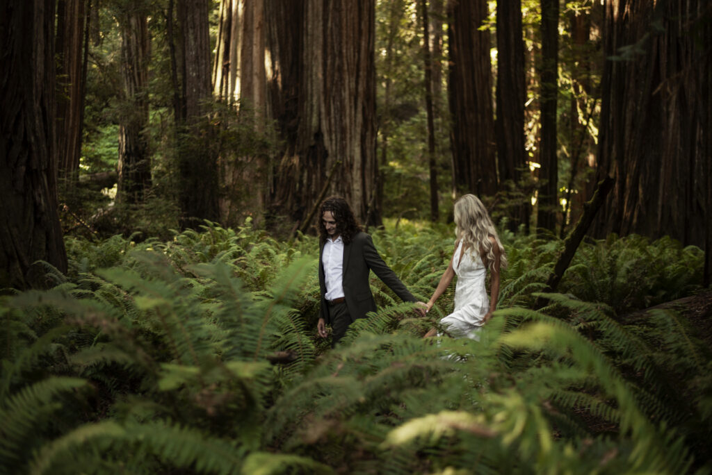 Redwoods wedding photography | Brookings Wedding Photographer | Oregon Coast elopement