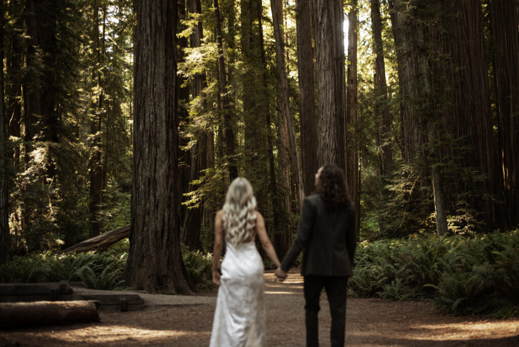 Bride and Groom getting married in the Redwoods