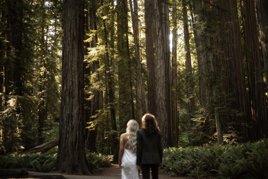 Redwoods wedding photography | Brookings Wedding Photographer | Oregon Coast elopement