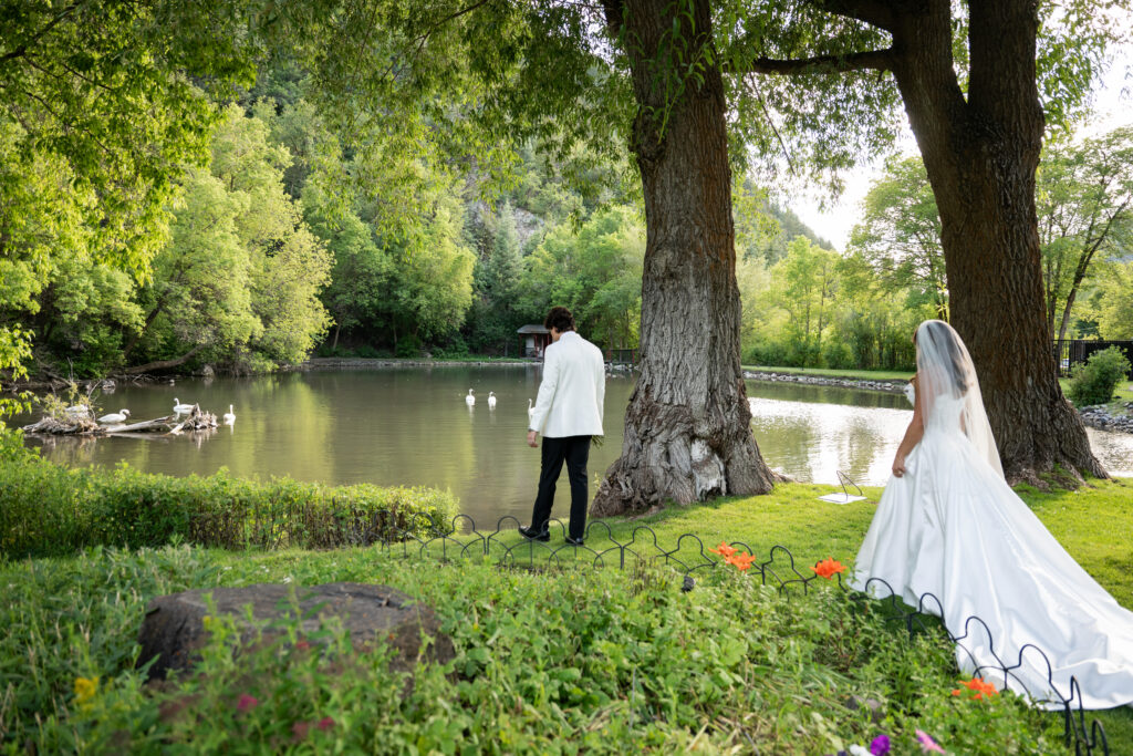 Bride and Groom photos at the meadow with swans at Log Haven
