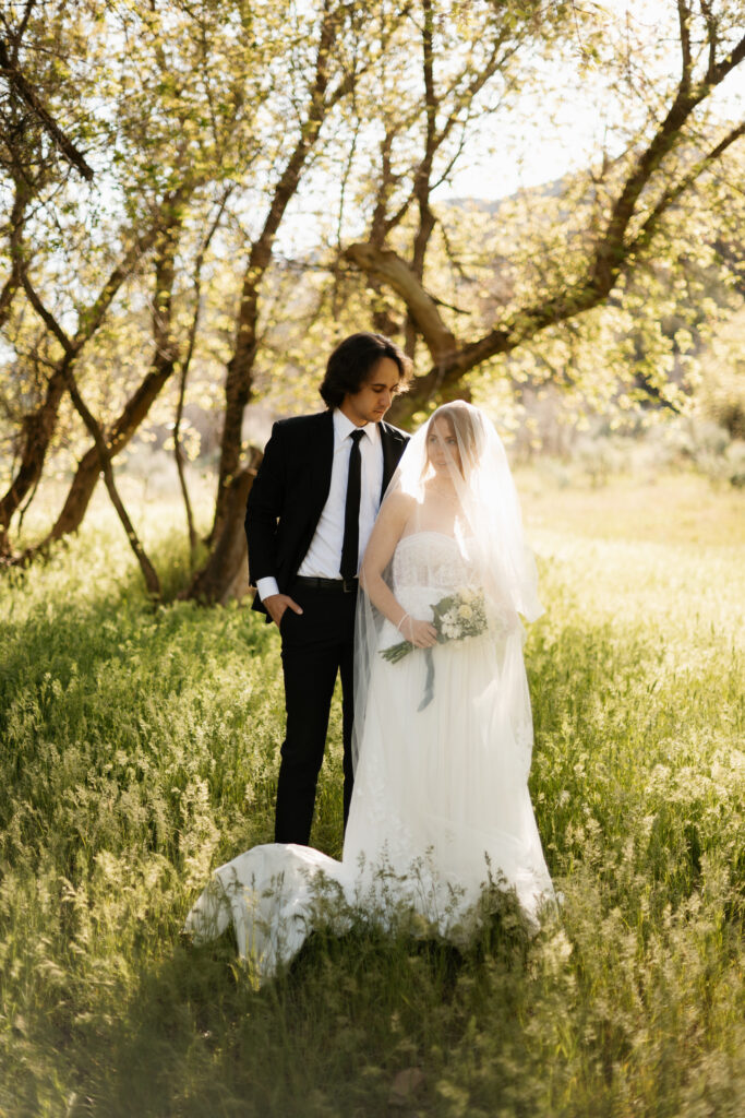 Summer wedding in the mountains