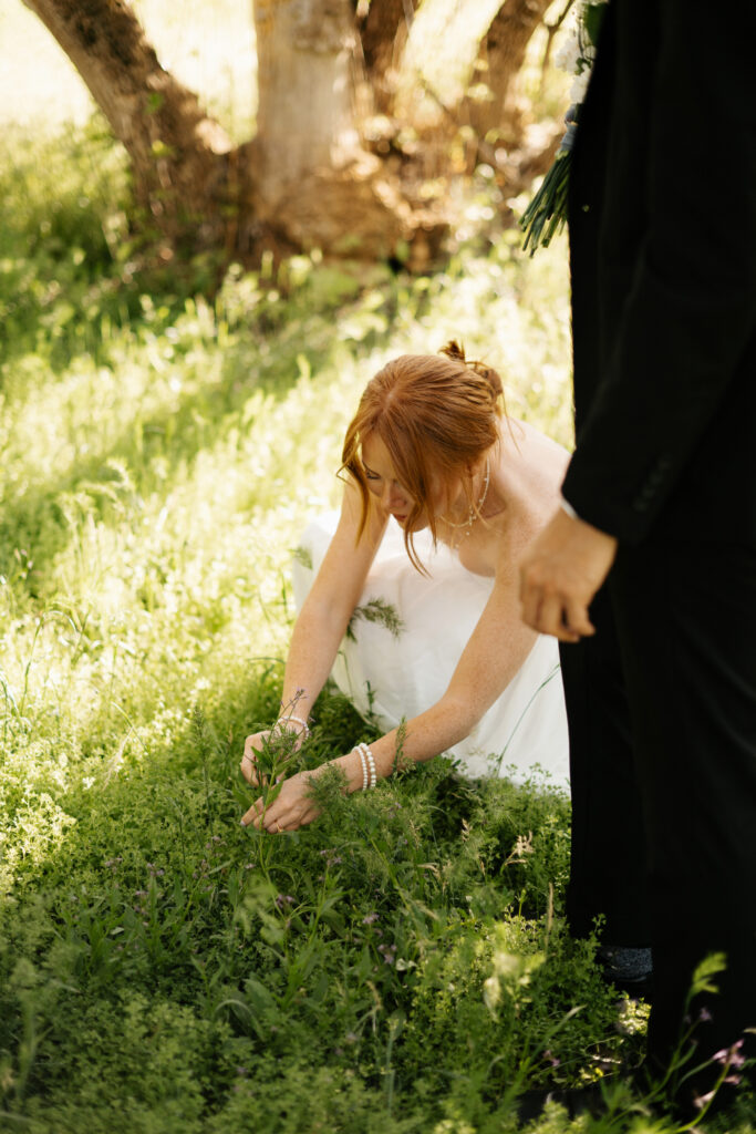 How to Start Planning a Wedding