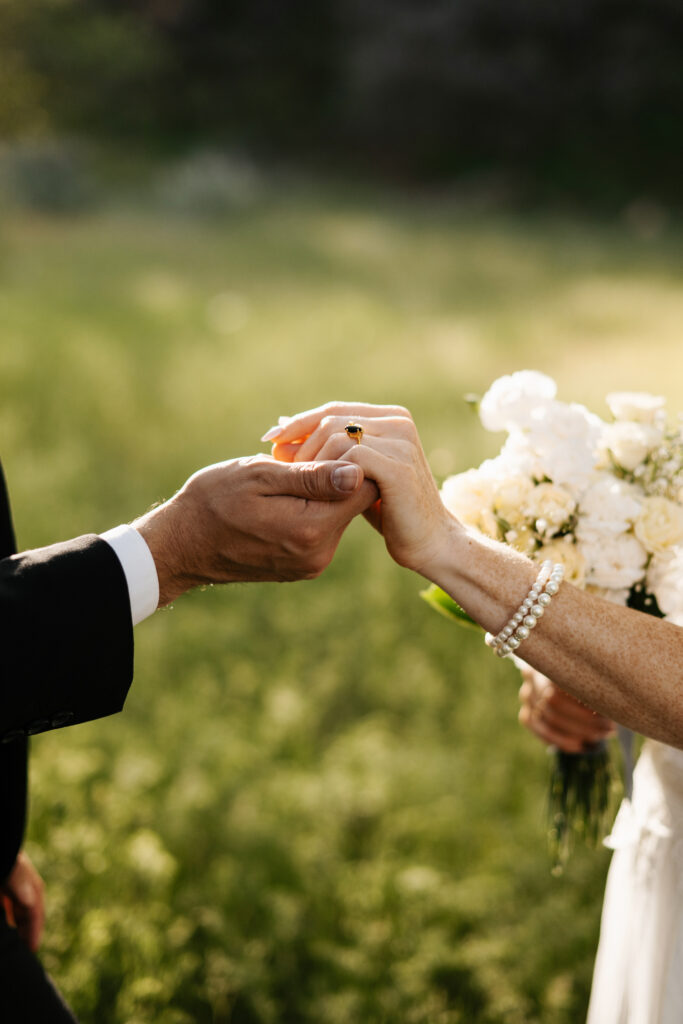 Bride and Groom eloping in the mountains in the summer