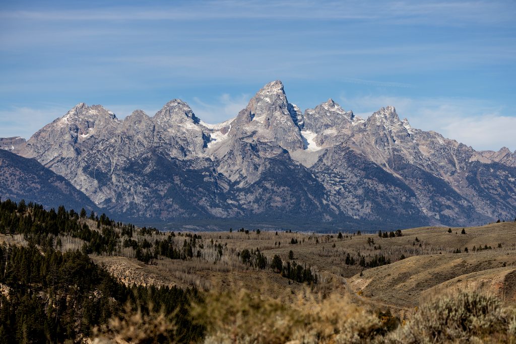 The Wedding Tree micro wedding Jackson Hole Wyoming | Tetons wedding | Grand Tetons wedding