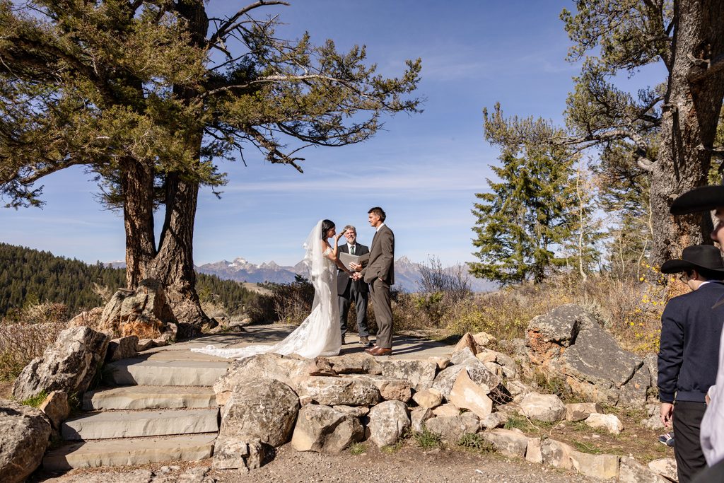 The Wedding Tree micro wedding