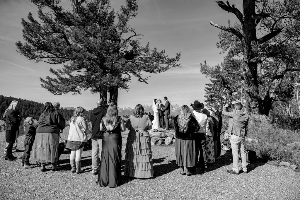 The Wedding Tree micro wedding
