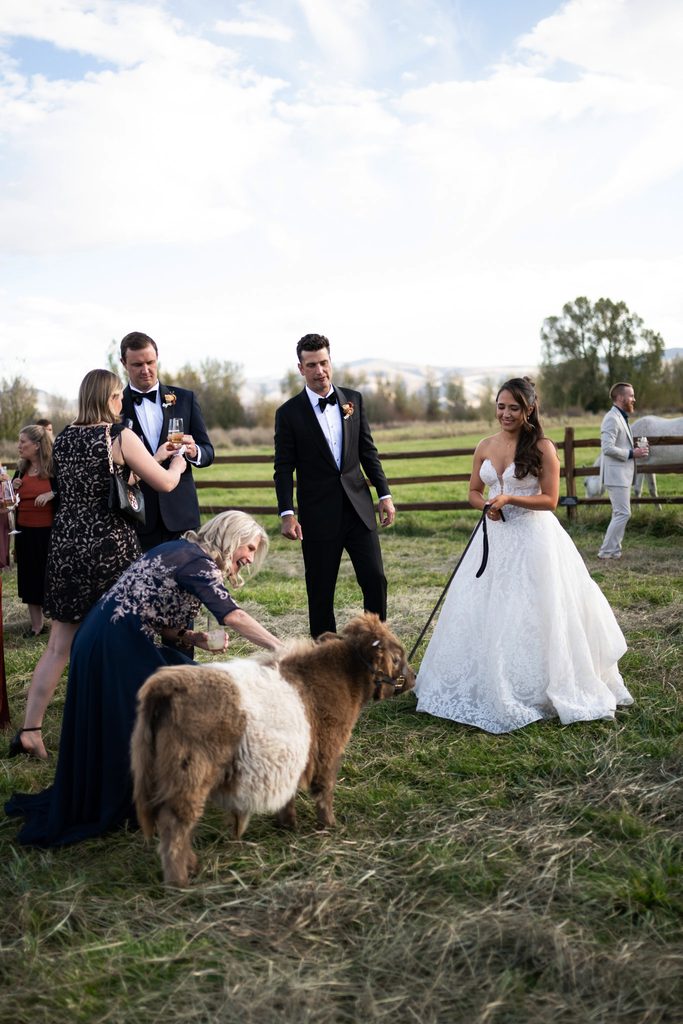 River Bottoms Ranch wedding cocktail hour